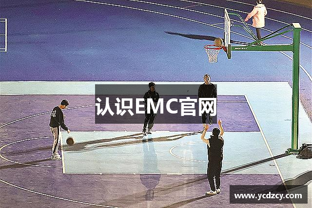 认识EMC官网